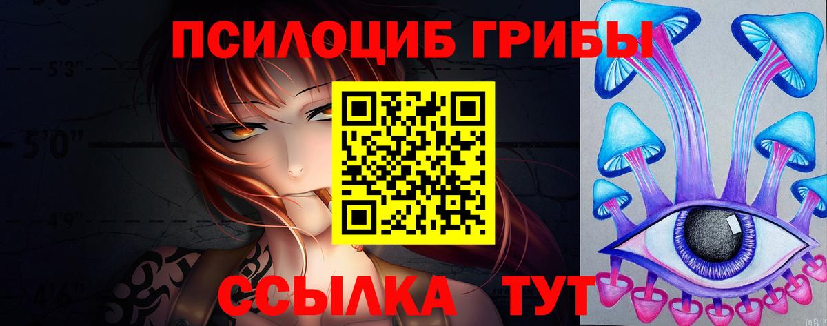 Галлюциногенные грибы GOLDEN TEACHER  Вход с VPN  Звенигород 